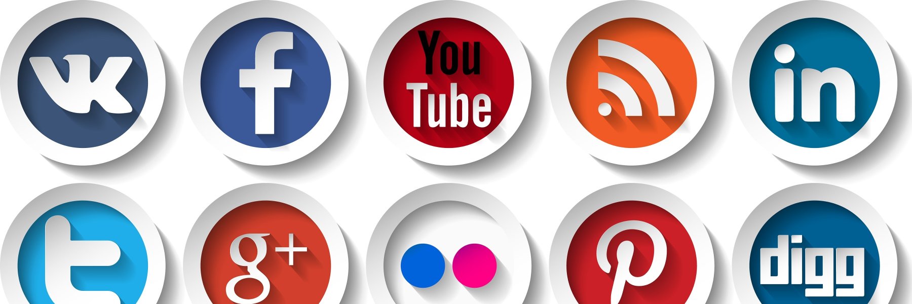 tfinchwts's profile banner image