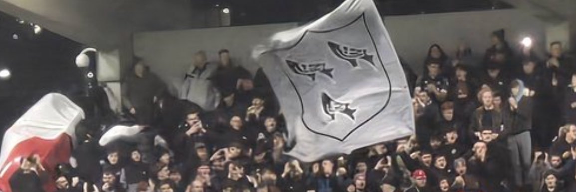 Ronan Gaughran banner