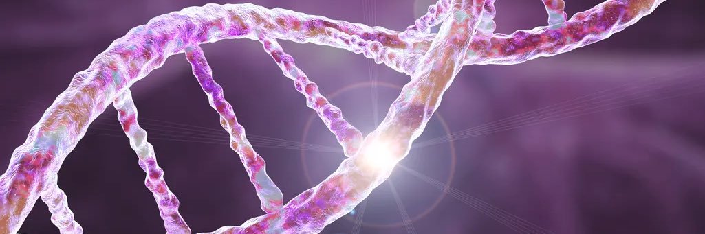 the Forex_Gene banner