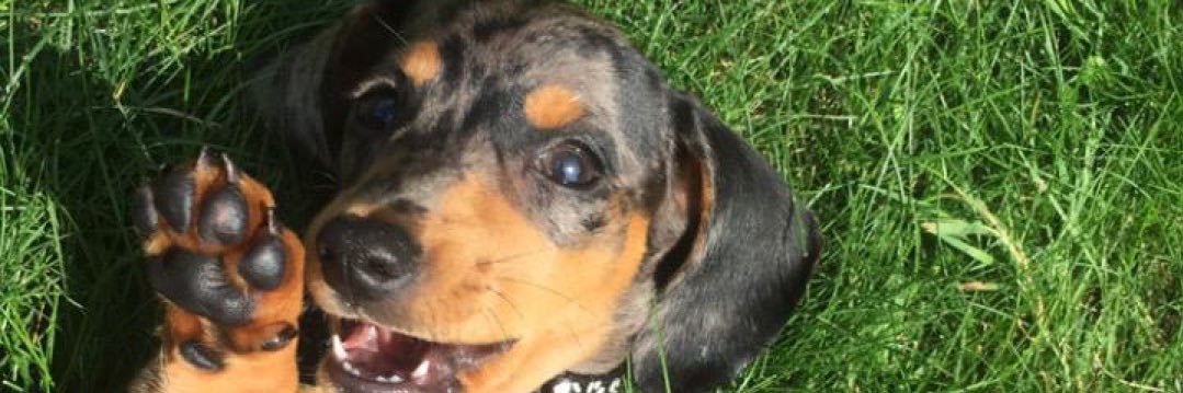 Simon Wright 🤘🏻 banner