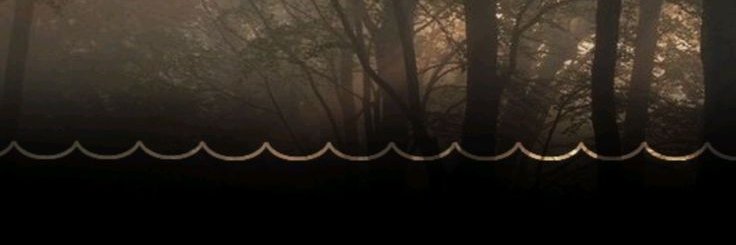 ' Chaos | Link of #SHEDTWT banner