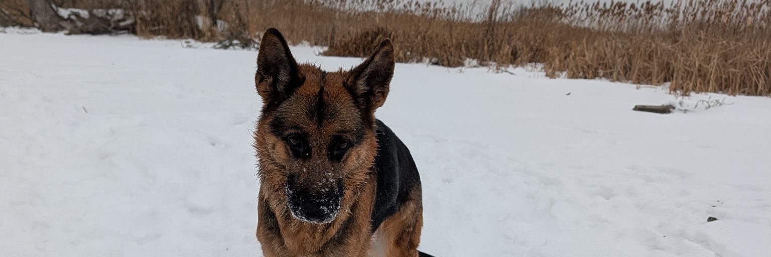 DeathStarDefense banner