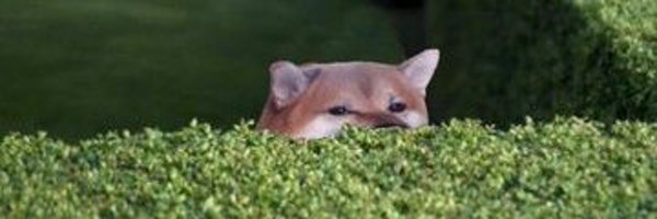 lithionit Profile Banner