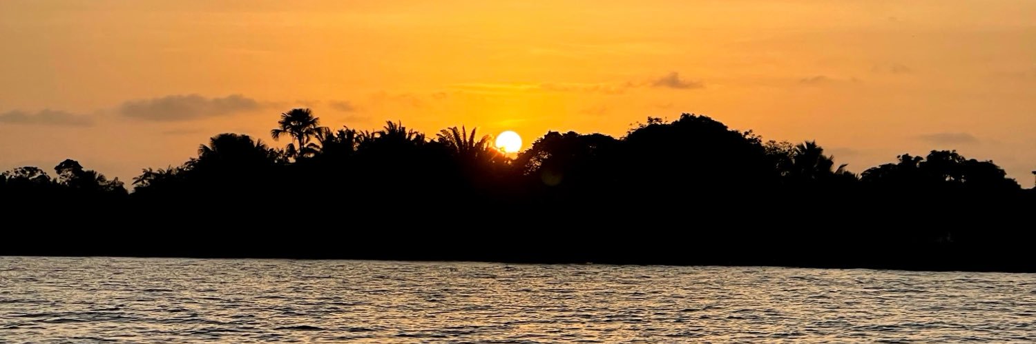 eukalumason's profile banner image