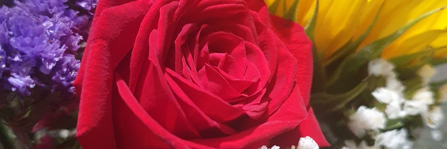 iirenee94's profile banner image