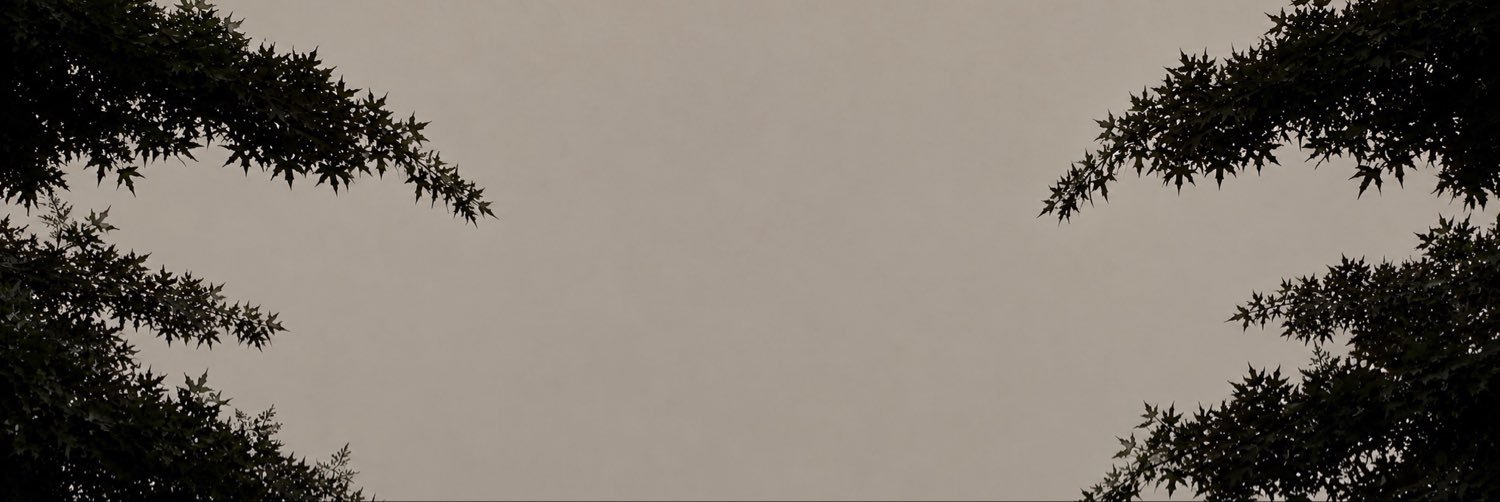 jaehaansol's profile banner image