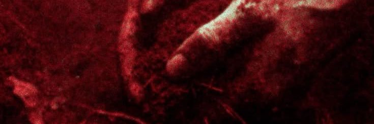 Redlinedpoetry of shedtwt banner