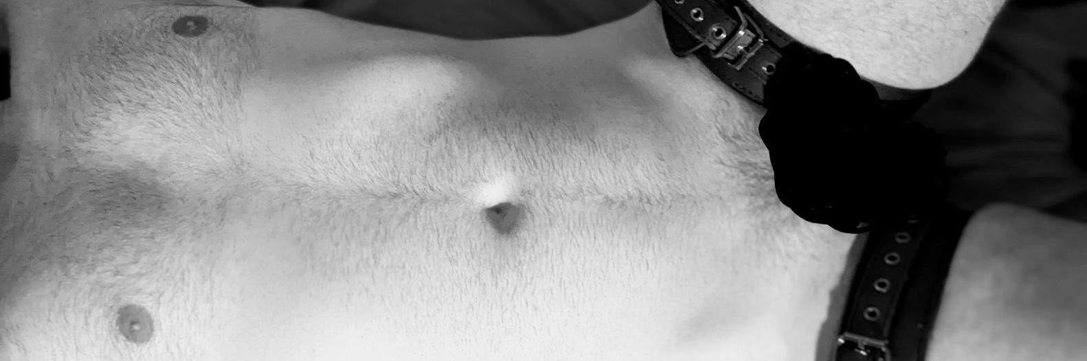 sub_xela's profile banner image