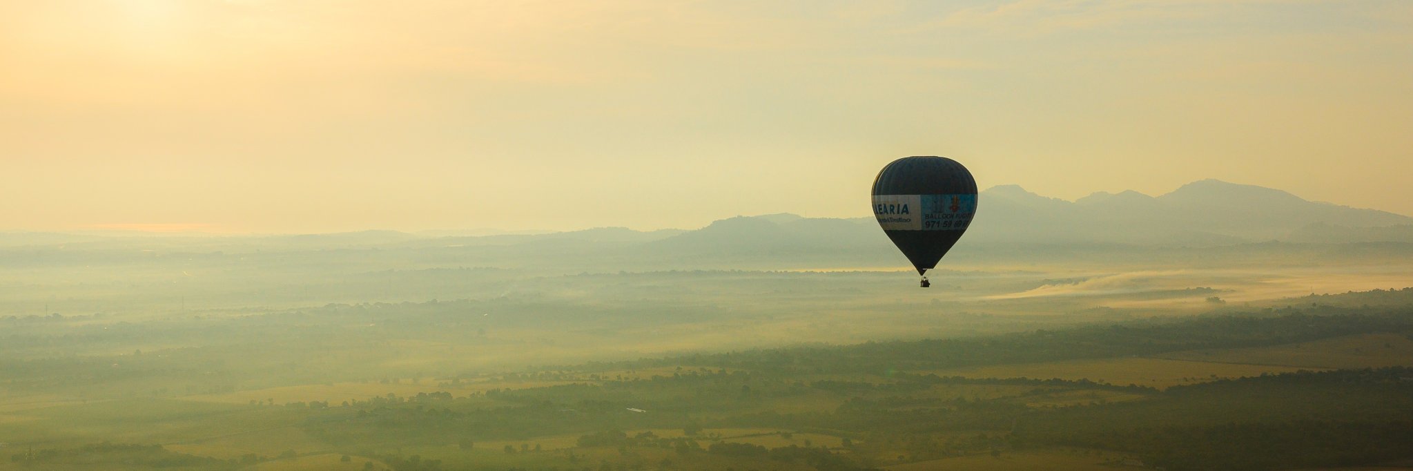 Sebastian Wulf banner