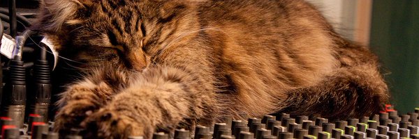 nervmassage Profile Banner