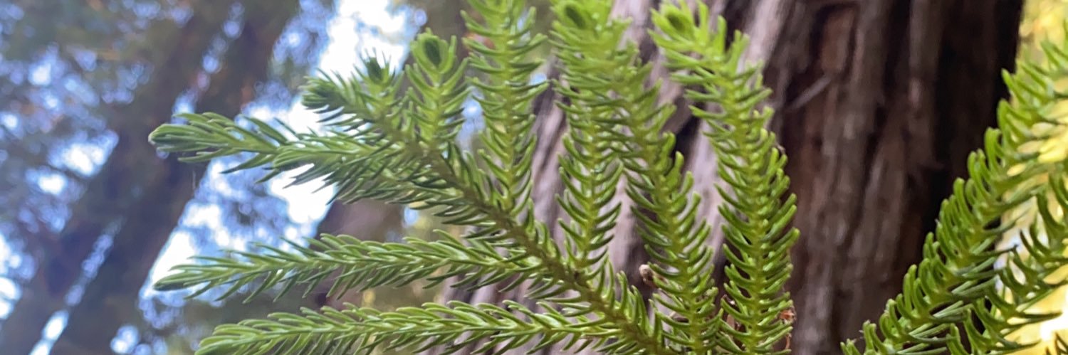 elisevbaugh's profile banner image