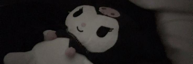 zxy banner