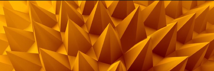 RISE__NY's profile banner image