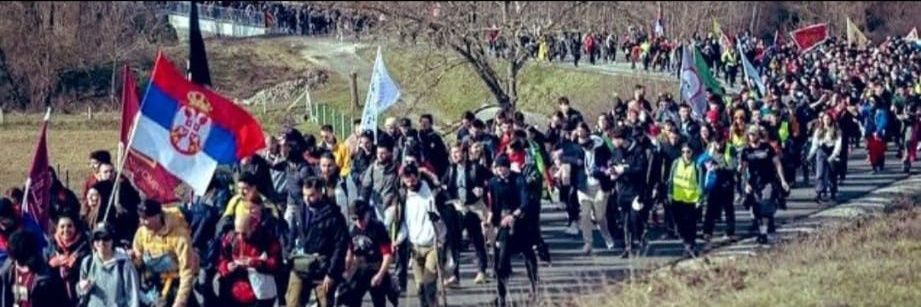 Nikola Vujadinović banner