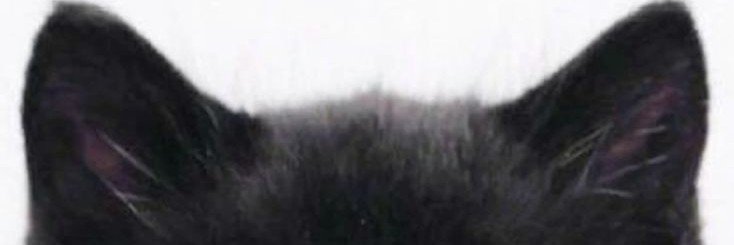 2ilysun's profile banner image