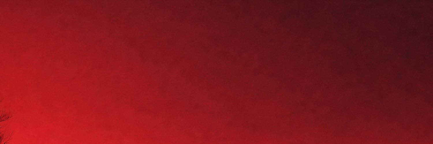 Rey Sizzm banner
