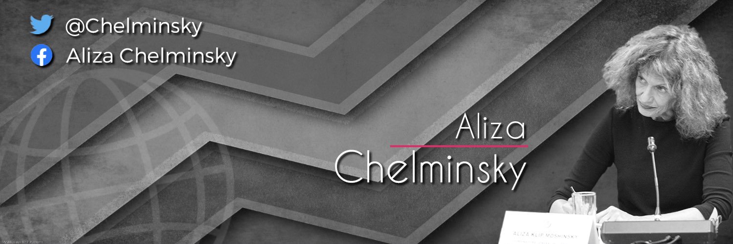 Aliza Chelminsky banner