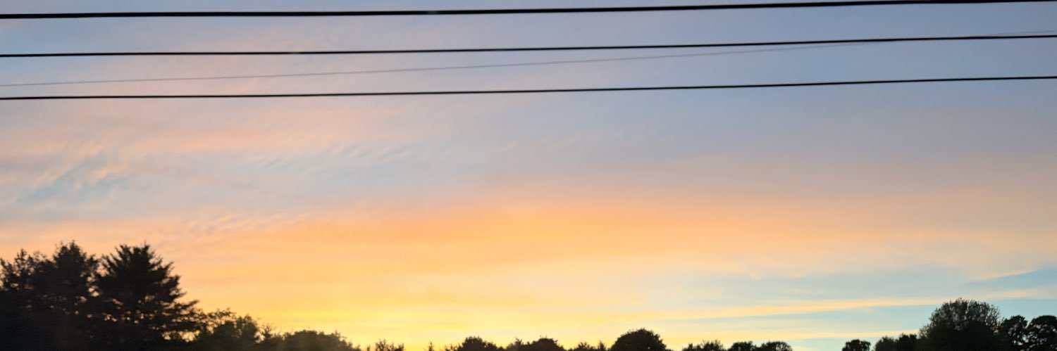 numberry🌱 banner