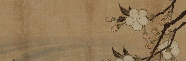 ☆.࣪⋆ 𝙸𝙻𝚈𝙰 banner