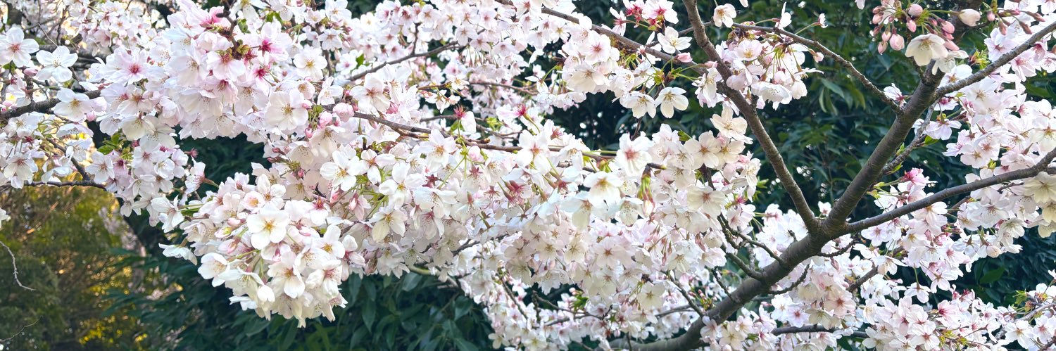 pisuko24's profile banner image