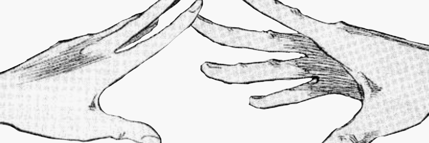 Nat banner