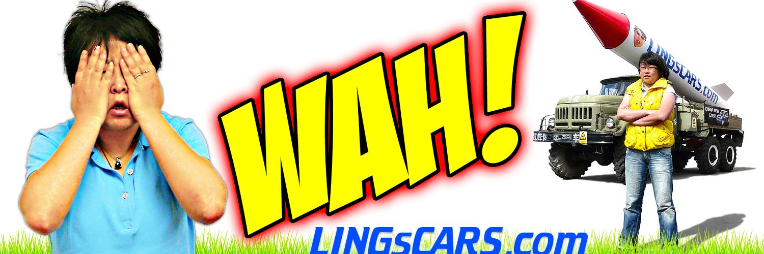 LINGsCARS.com Profile Banner