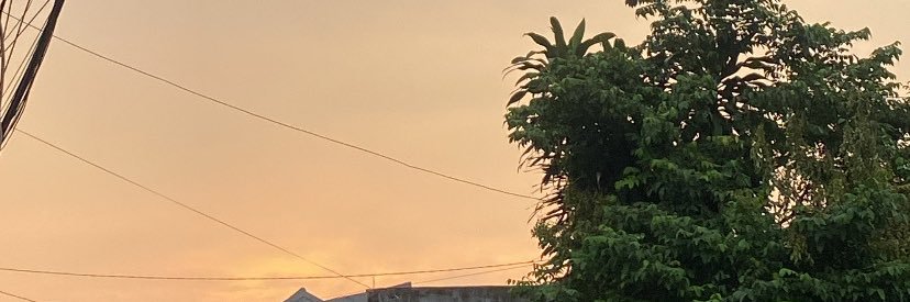 Ryn banner