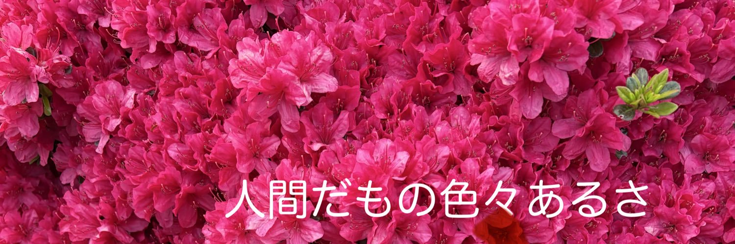 さっちゃん🌳 banner