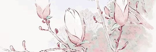 ssmysv's profile banner image