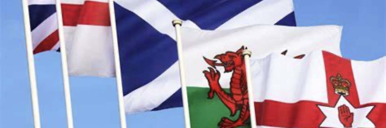 Protecting the Union 🇬🇧 banner