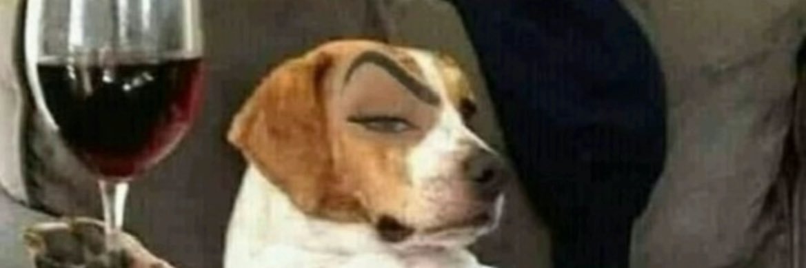 TheDreaDivine's profile banner image