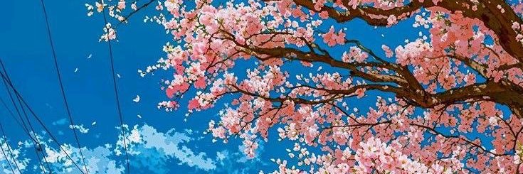 AllisonFlo44781's profile banner image