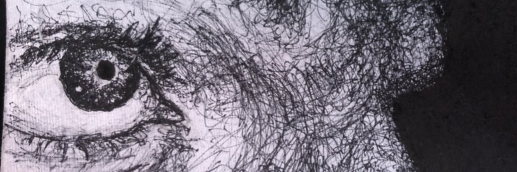 MikeSea14's profile banner image