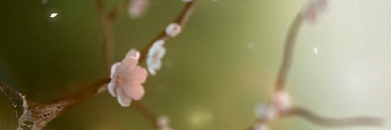 SephMac's profile banner image