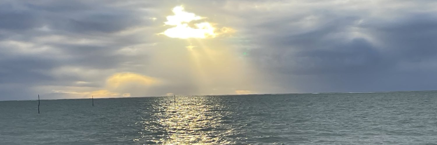 Ellen linda banner