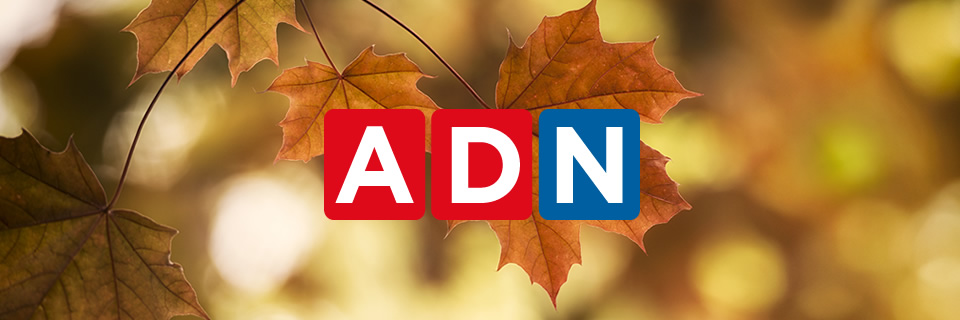 Radio ADN banner