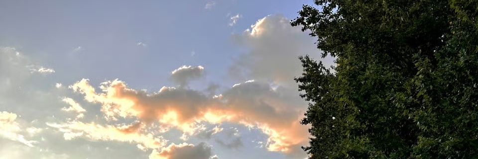 Xingyiyun's profile banner image