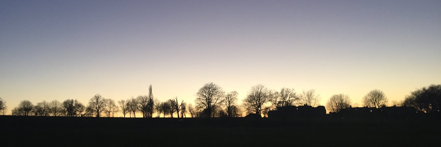 Lewis_Marshall's profile banner image