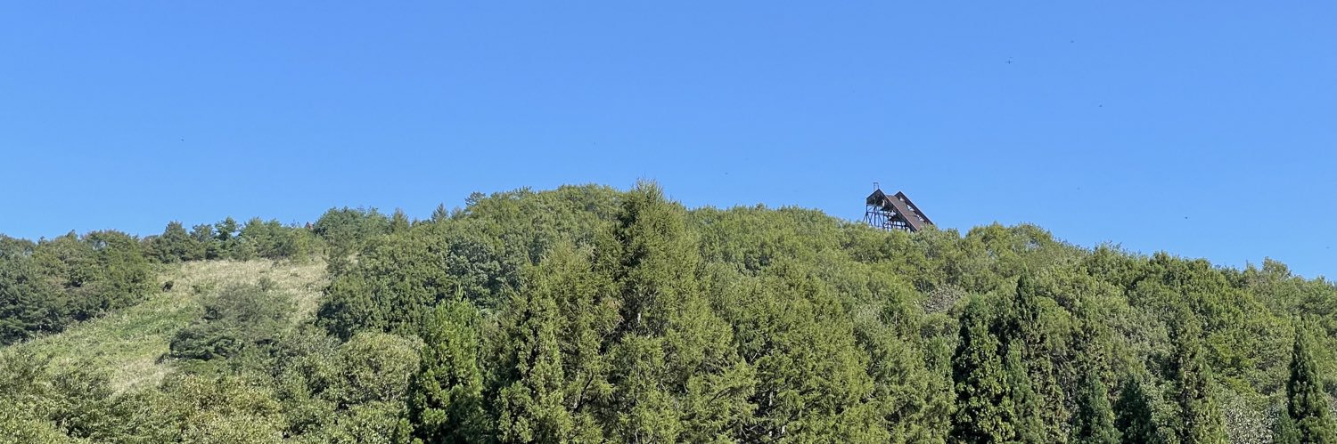 maoville's profile banner image