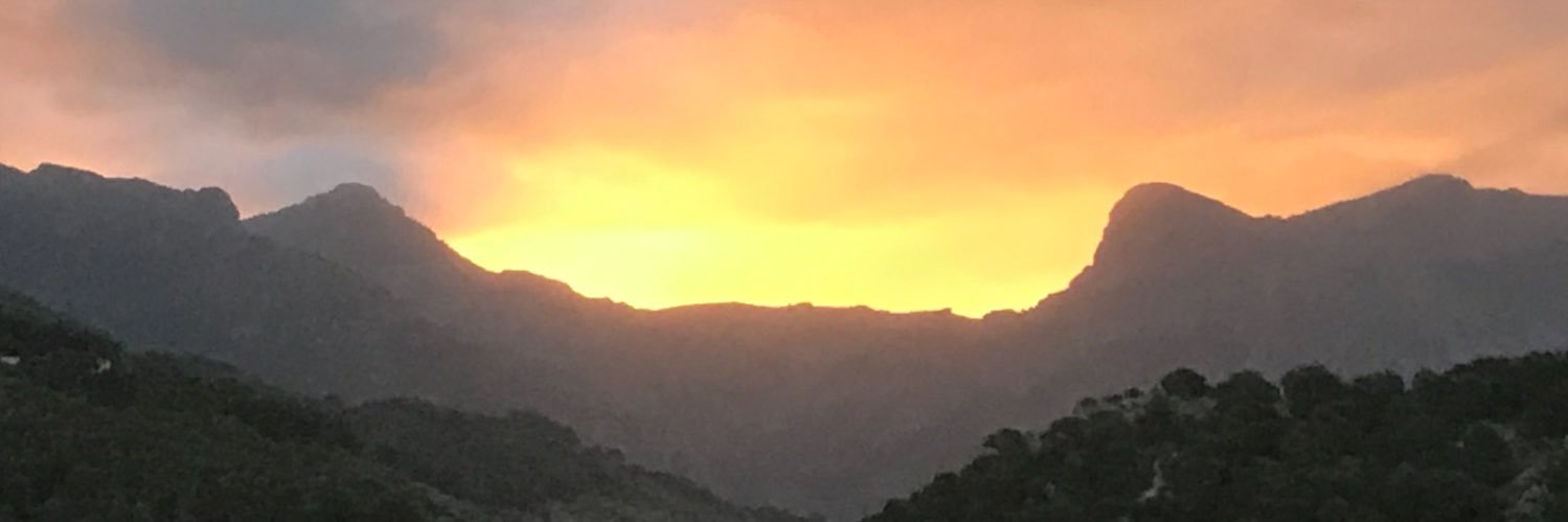 Dr. Markus Krall banner