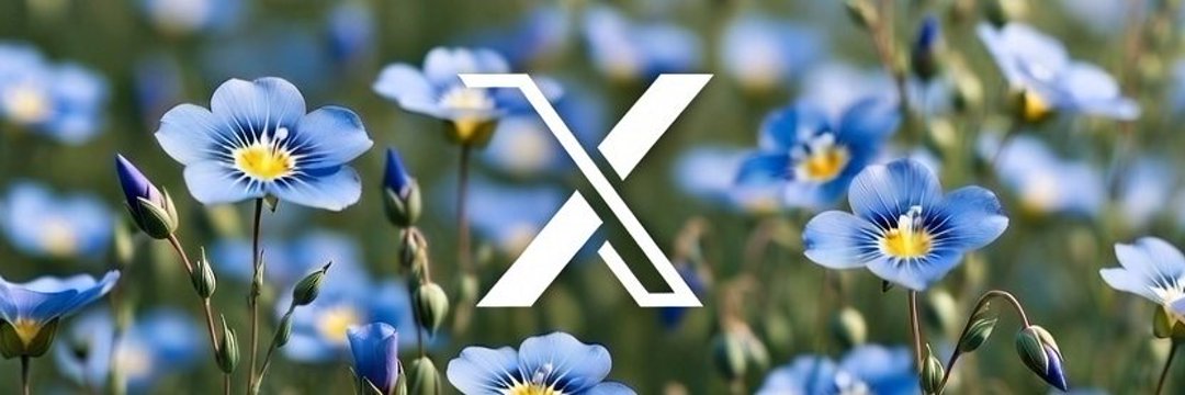 The InnerLens Creativity Studio banner