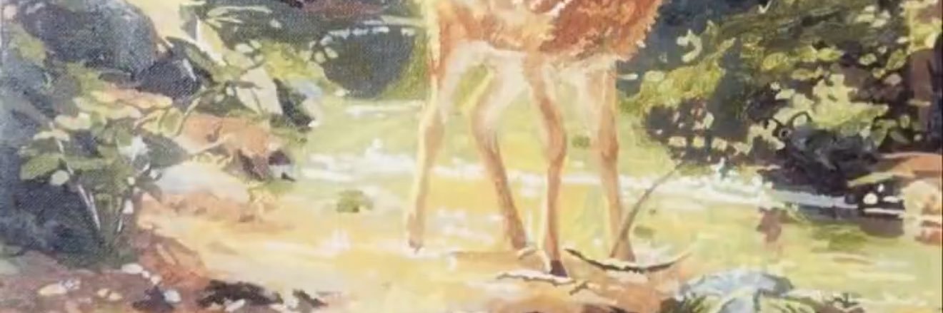 gghealdiff banner