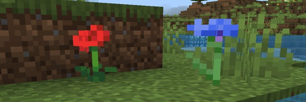 S0 banner
