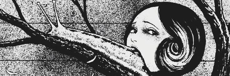 ₊𖥔 liliput ۪ ׄ ཀ | NO FOLLBACK banner