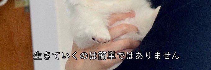 🍀 banner