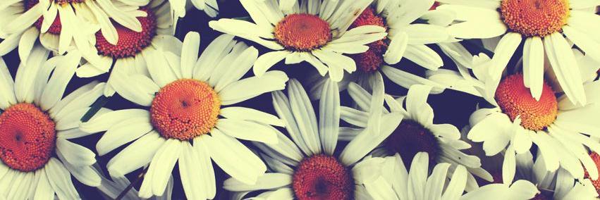 FernandezVali's profile banner image