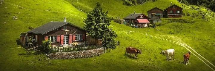 Swiss banner