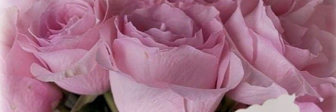 🦋🪔گلستانِ ادب🪔🦋 banner