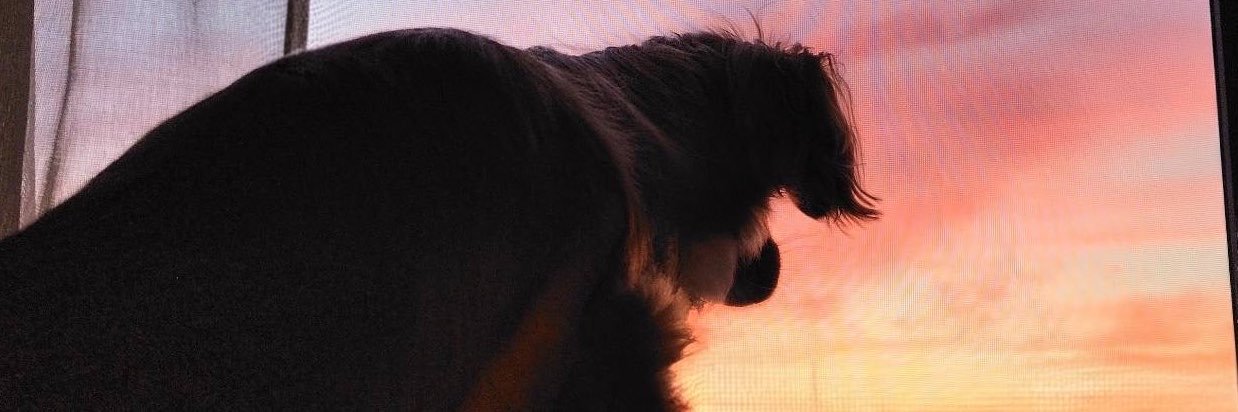 Maxkf9w's profile banner image