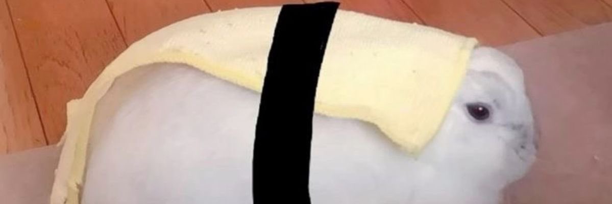 sugaraddict banner